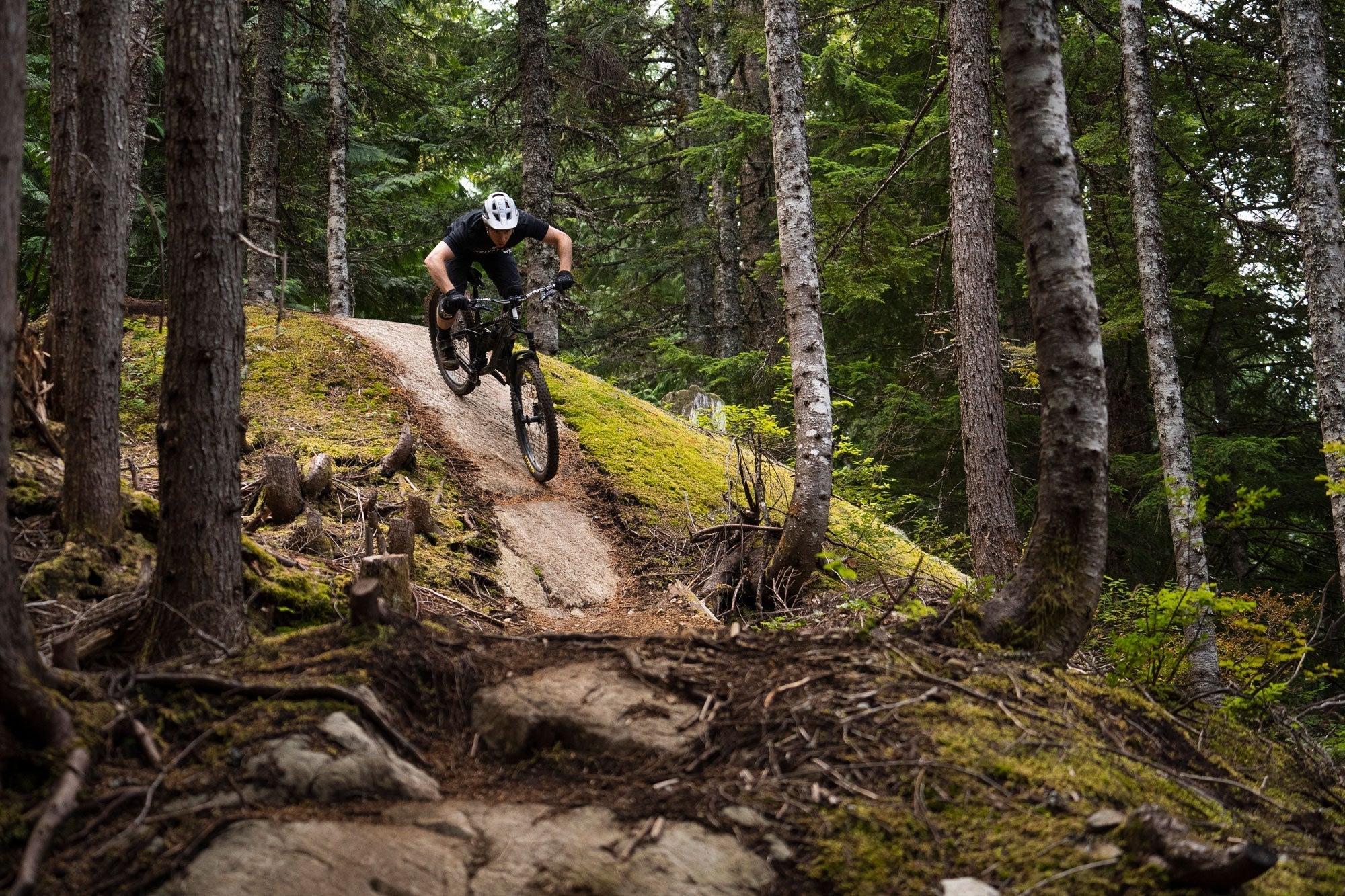 Thumbnail 10